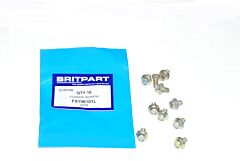 FLANGE SCREW