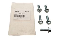 FLANGE SCREW