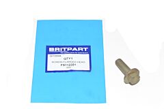 SCREW-FLANGED HEAD