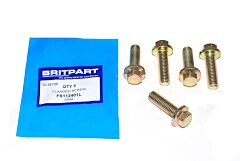 FLANGED SCREW