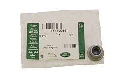 FY110056 - NUT