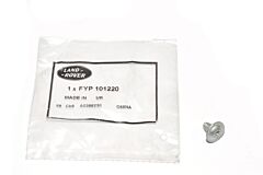 FYP101220 - SCREW