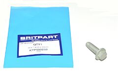 BOLT M10 x 30mm