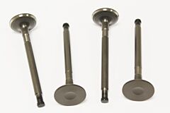 VALVE - EXHAUST