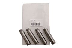 GUIDE VALVE