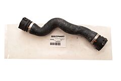 HOSE - RADIATOR