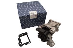 VALVE EXHAUST GAS RECIRCUTION & GASKET