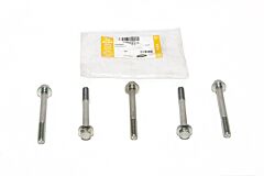 LR004315 - BOLT