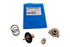 THERMOSTAT ASSY