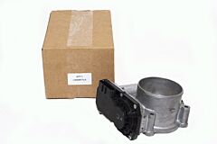 THROTTLE BODY AND MOTOR