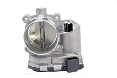 THROTTLE BODY AND MOTOR