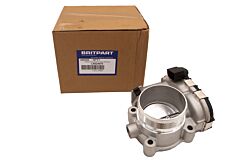 THROTTLE BODY AND MOTOR