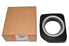 BEZEL-FOG LAMP