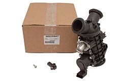 THROTTLE BODY AND MOTOR