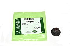 SEAT - SPRING
