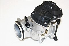 EGR VALVE + THROTTLE BODY ASSY