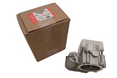 THROTTLE BODY AND MOTOR