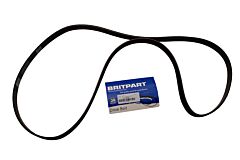 BELT - ACCESSORY DRIVE
