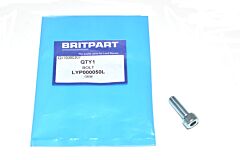 BOLT (SOCKET CAP HEAD STAINLESS)