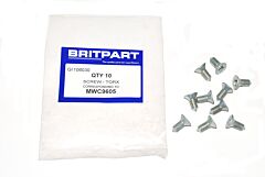 SCREW - TORX