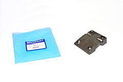 HINGE - DOOR LOWER RH