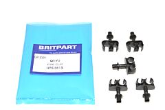 PIPE CLIP