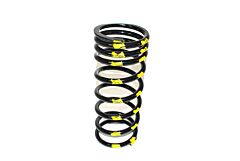 SPRING - COIL N/S FRONT 110