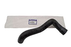 HOSE - BOTTOM RADIATOR