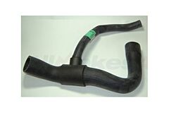 HOSE - RADIATOR BOTTOM