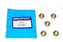 NUT - LOCKING OVAL