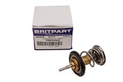 THERMOSTAT ASSY