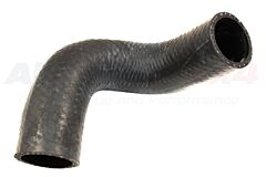 HOSE - RADIATOR BOTTOM