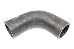 HOSE - RADIATOR BOTTOM