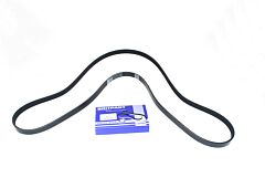 BELT-POLYVEE
