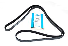 BELT-POLYVEE
