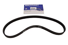 BELT-POLYVEE