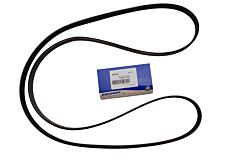 BELT-POLYVEE