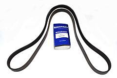BELT-POLYVEE-AL