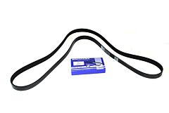 V-BELT