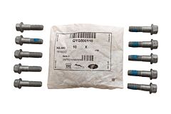 QYG500110 - BOLT