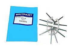 RIVET