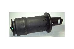 SPRING ASSEMBLY - AIR - FRONT SUSPENSION