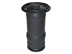SPRING REAR AIR - SUSP