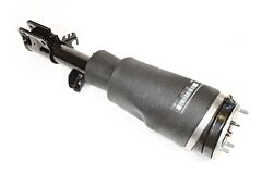 SHOCK ABSORBER AND AIR SPRING - RH
