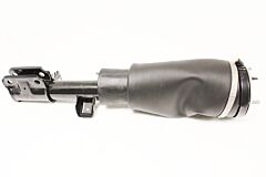 SHOCK ABSORBER AND AIR SPRING - RH