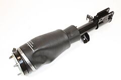 SHOCK ABSORBER AND AIR SPRING - LH FRONT