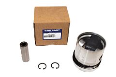 PETROL PISTON ASSY 020