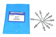 RIVET