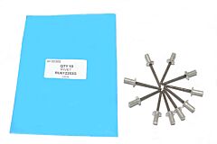 RIVET