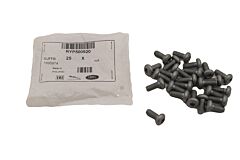 RYP500920 - SCREW